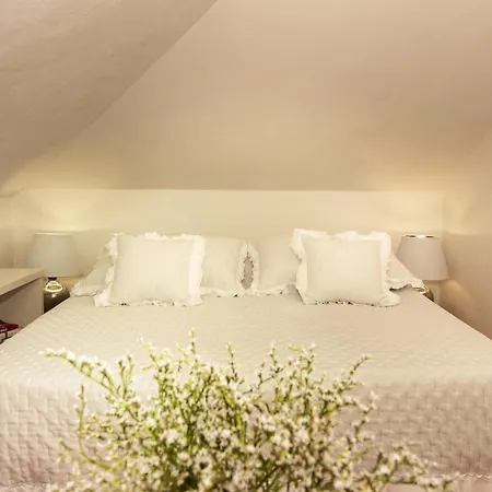 Spacious In With Parking Apartment Trogir